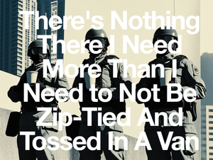 There's Nothing There I Need More Than I Need to Not Be Zip-Tied And Tossed In A Van